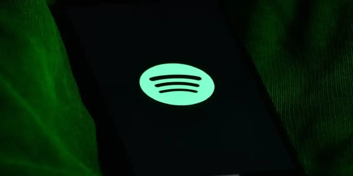 India Removed All Pakistani songs from Spotify