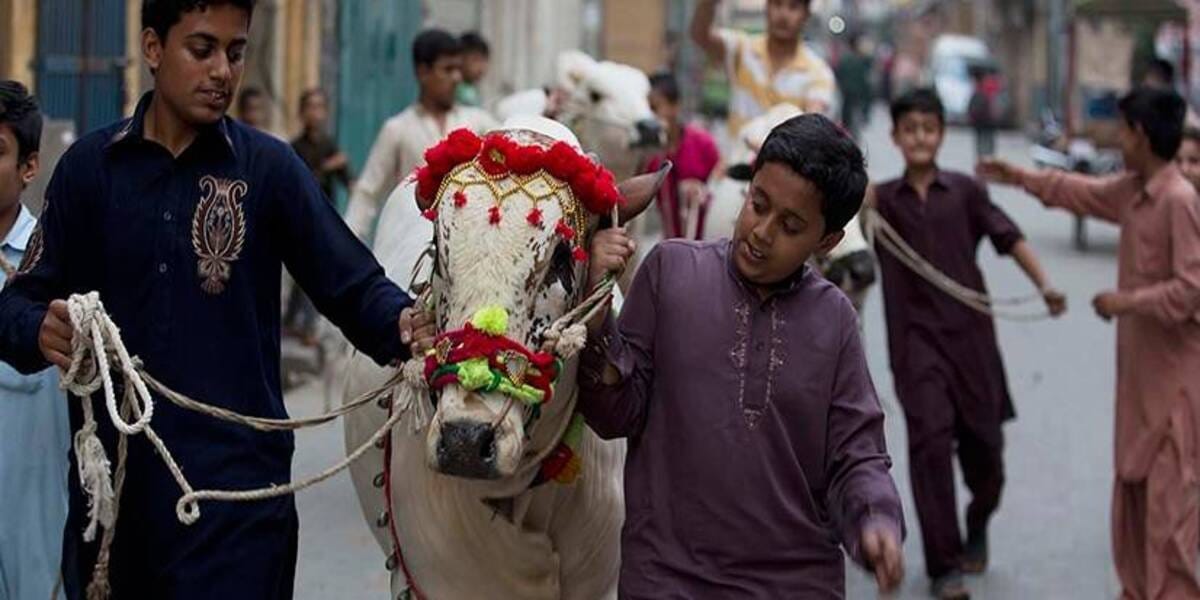 Eidul Azha Observed Nationwide to Honor the Legacy of Prophet Ibrahim (AS)