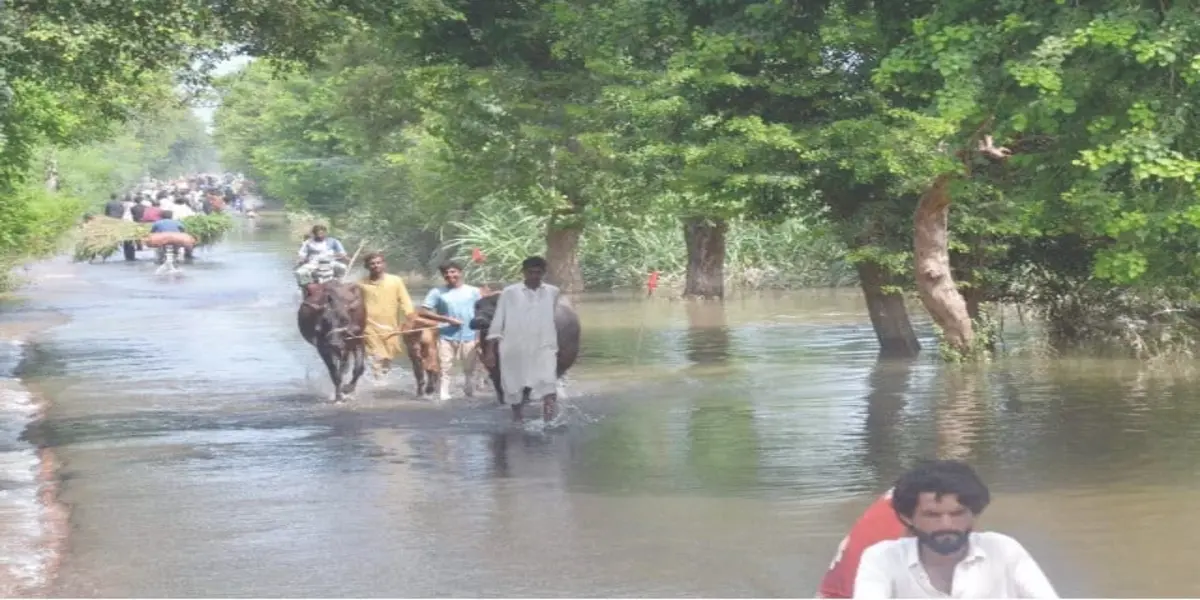 Pakistan avoids directly blaming India for floods