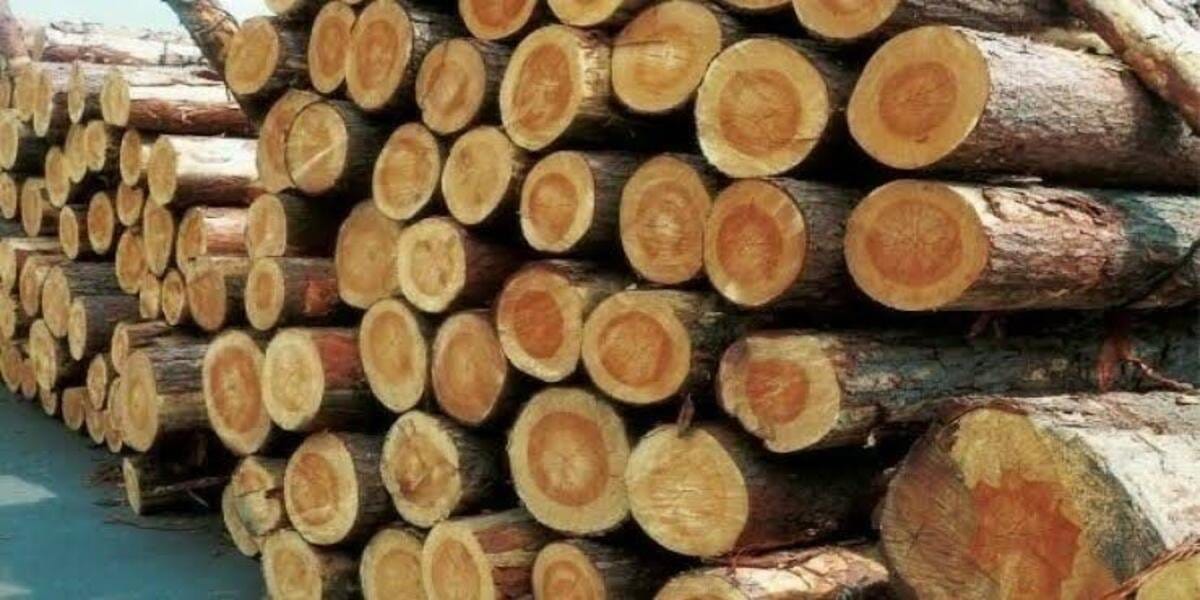 Punjab Govt Announces Major Ban