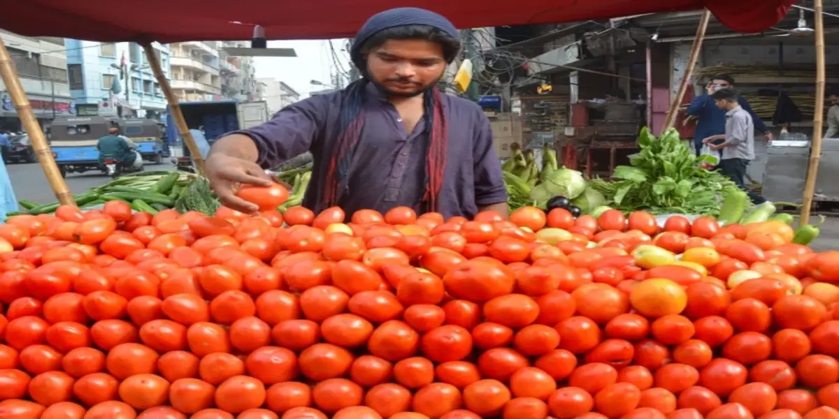 Tomatoes Now Pricier Than Chicken in Karachi