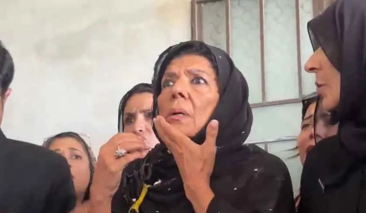 Police Launch Probe After Aleema Khan Egged
