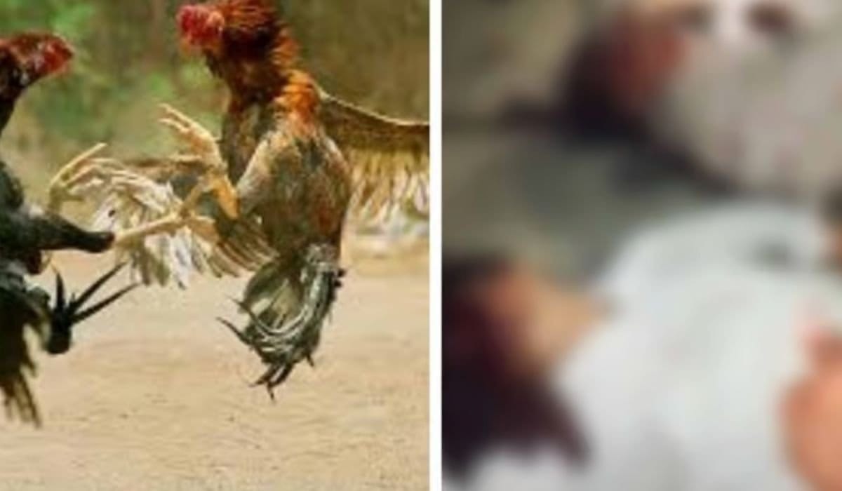 Okara violence
