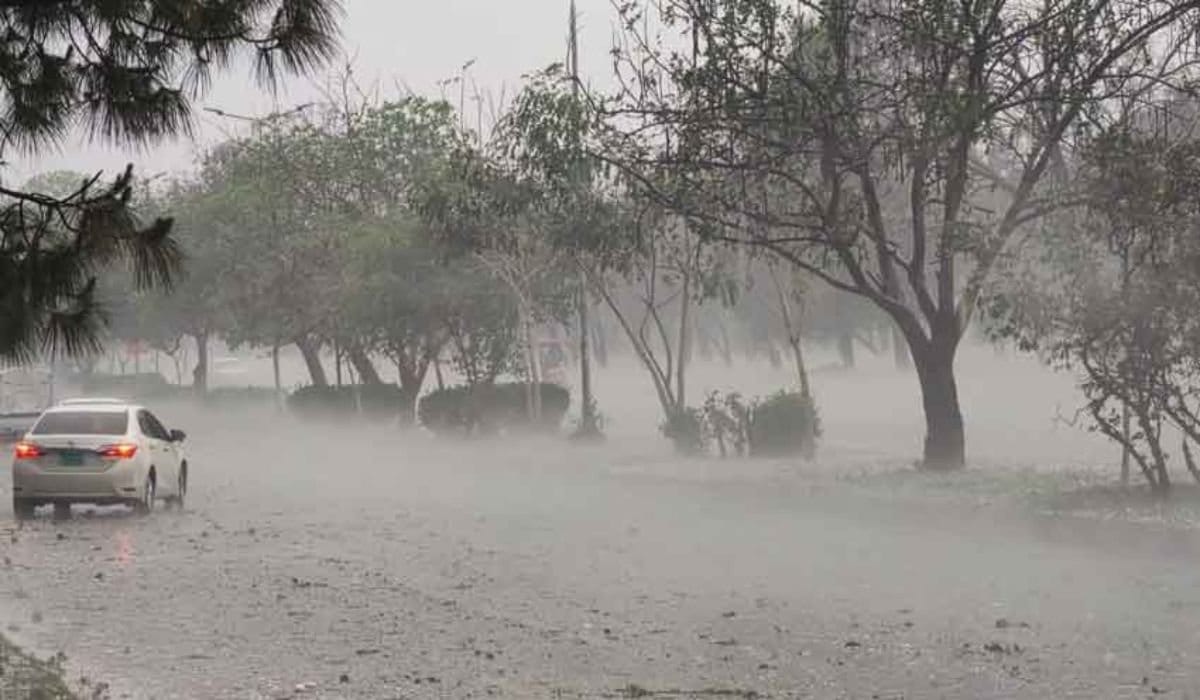 Weather