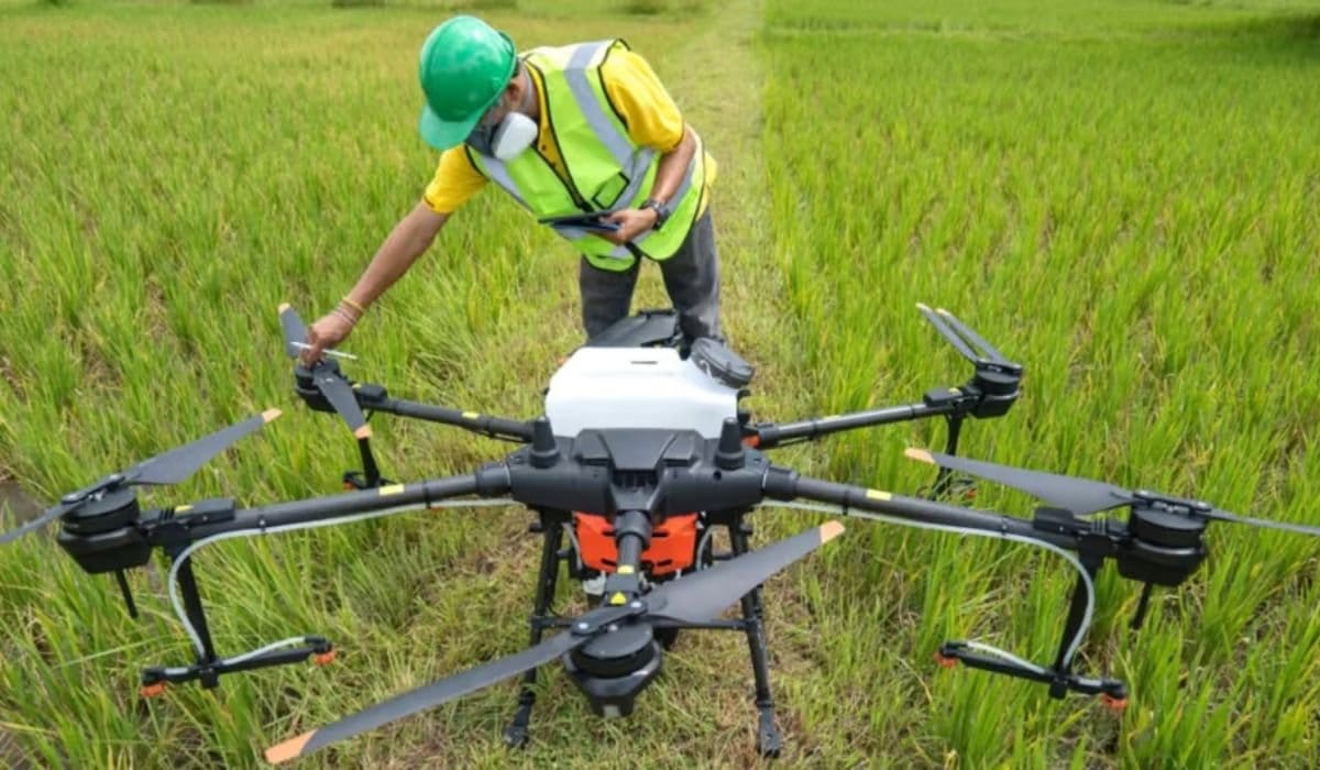 Satellite Crop Reports to Aid Policy and Trade