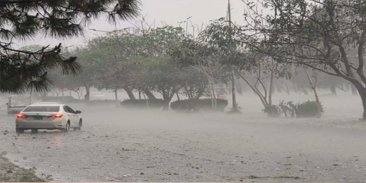 rain1744817443 0 (1)