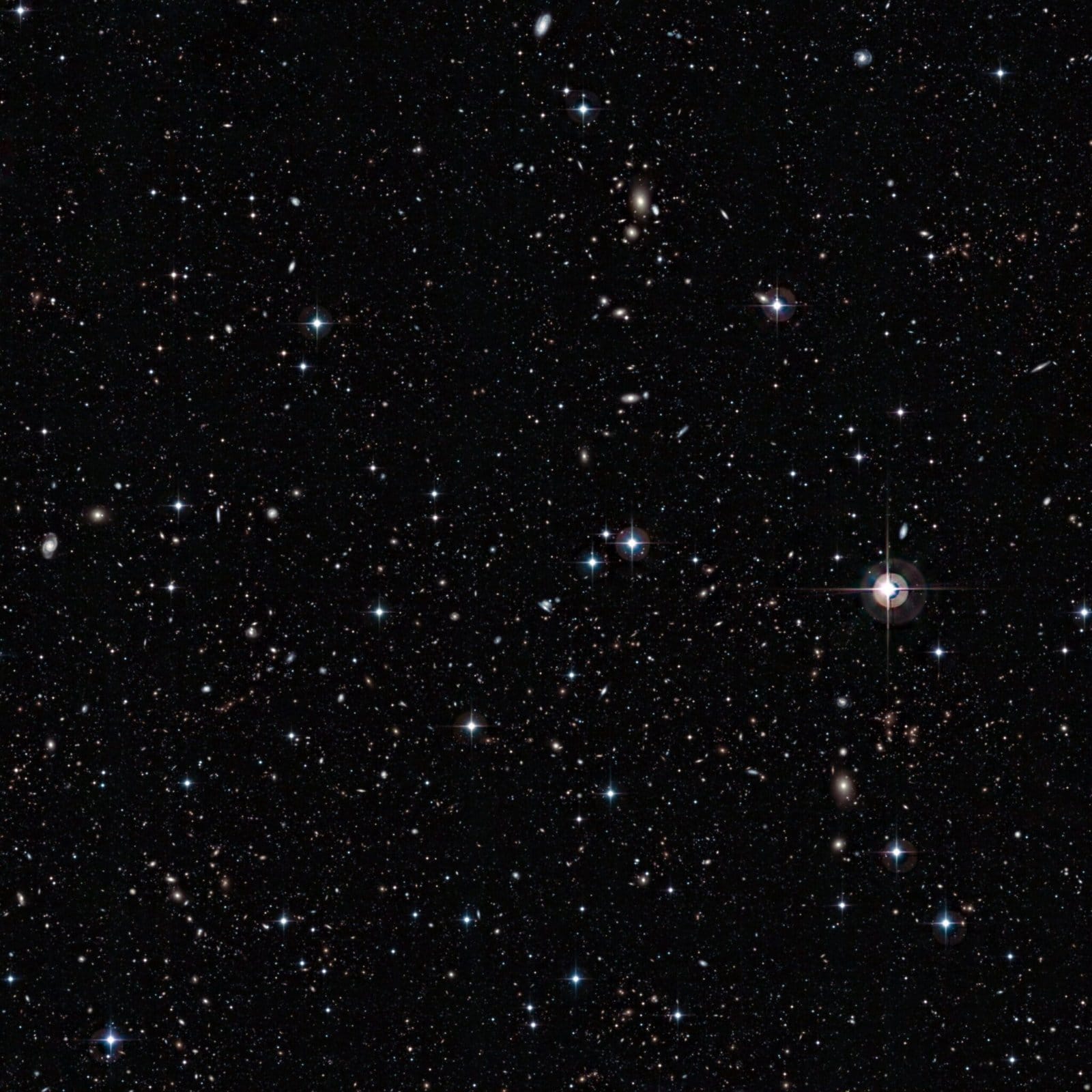 Stars can be seen in this image