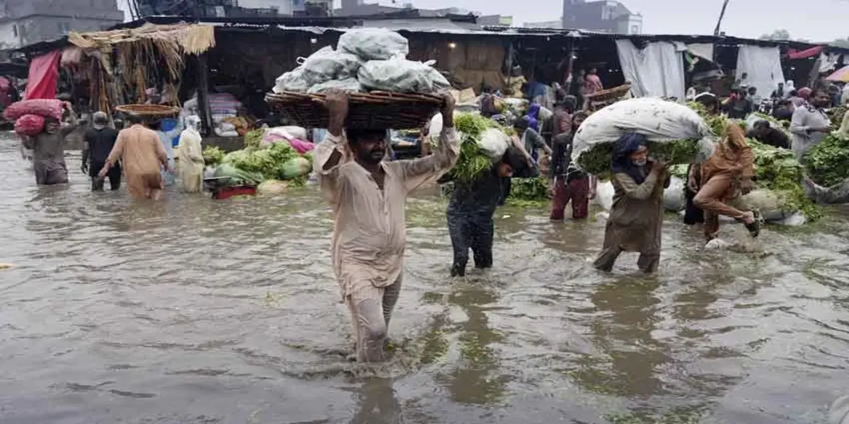 Floods Damage 3,775 Villages in Punjab: PDMA