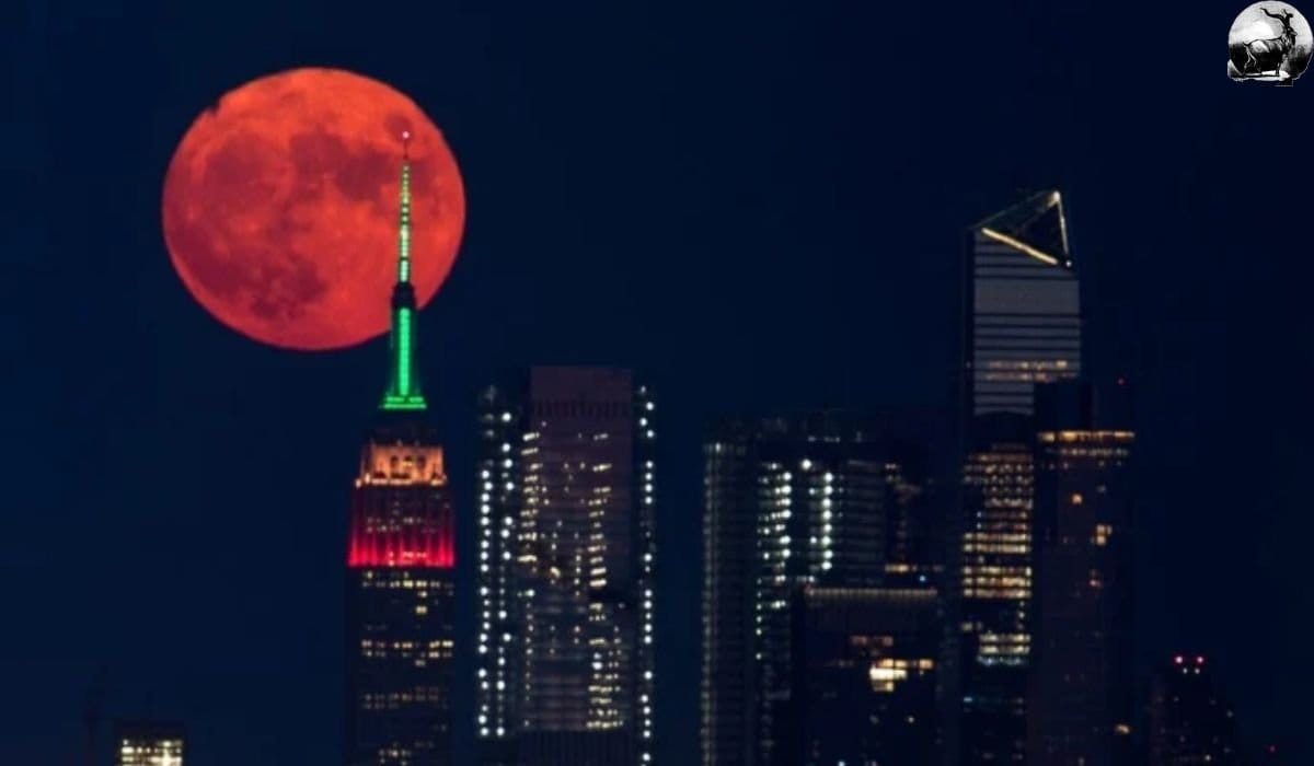 Flower Moon to Shine Bright