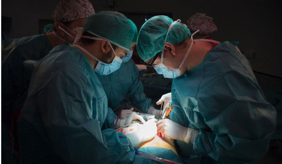 Organ Transplant