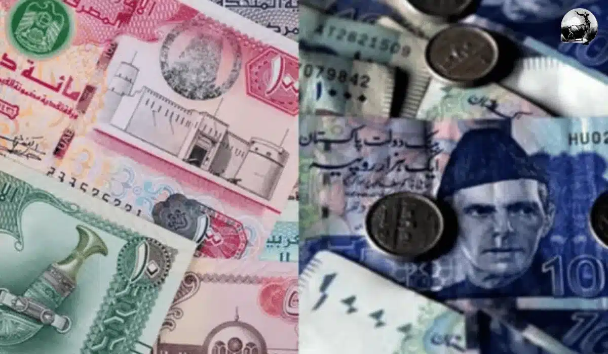 UAE Dirham to Pakistani Rupee Exchange Rate Today | Live Updates