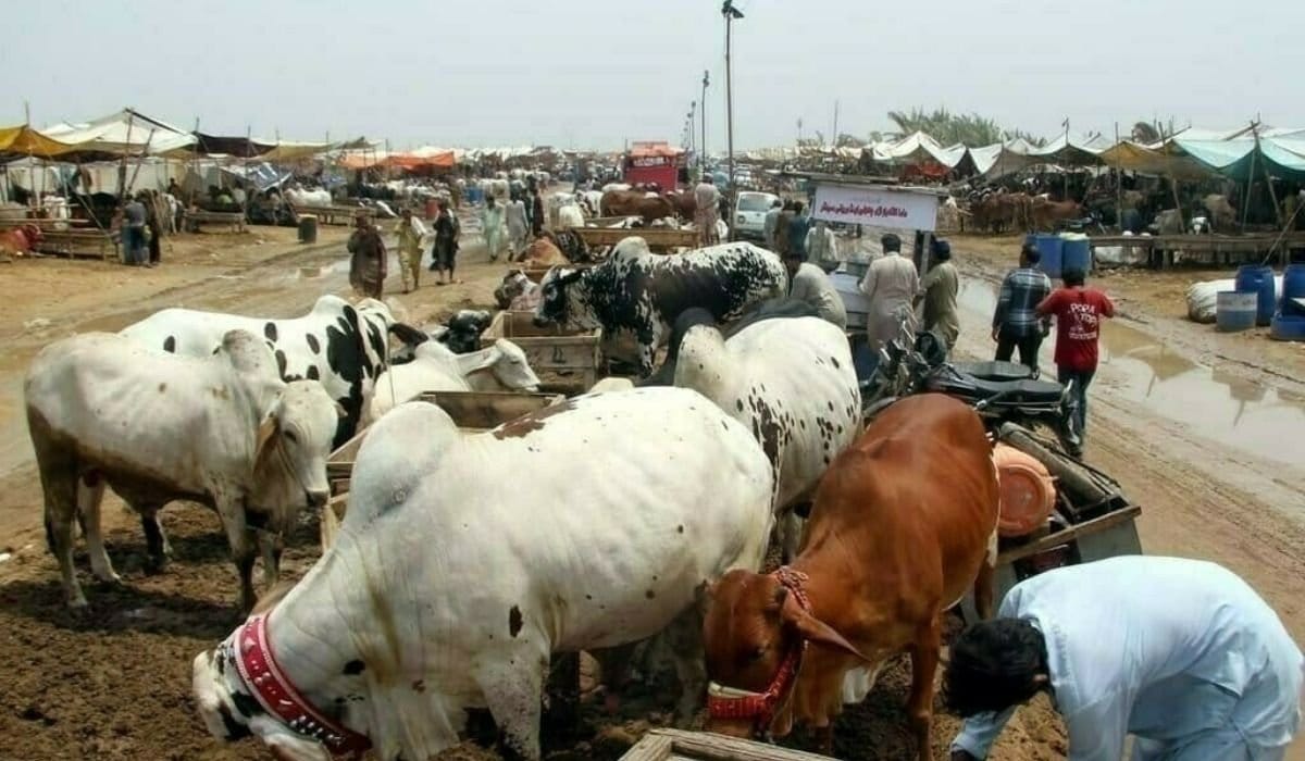 Eid ul Adha
