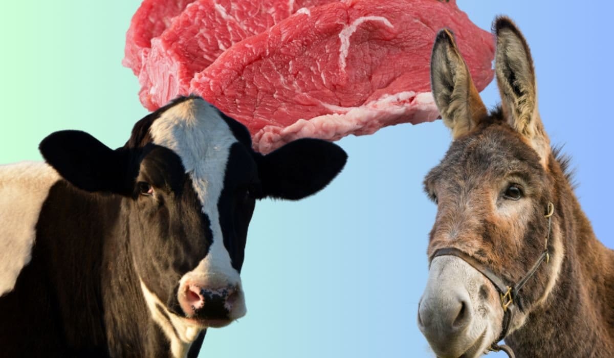 How Consumers Can Detect Donkey Meat, Say Vets