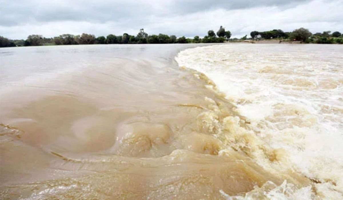 Chenab River Swells to Medium Flood Level at Marala