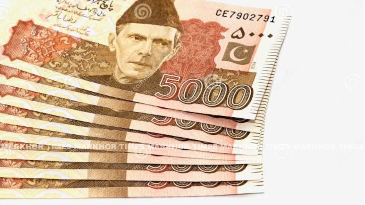 NEPRA Approves A 10% Salary Increase For CPPA-G Employees