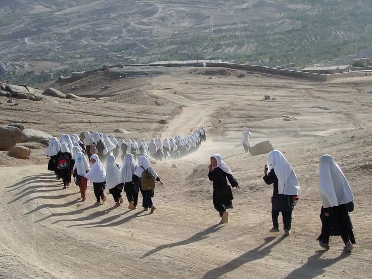 Afghan refugee’s
