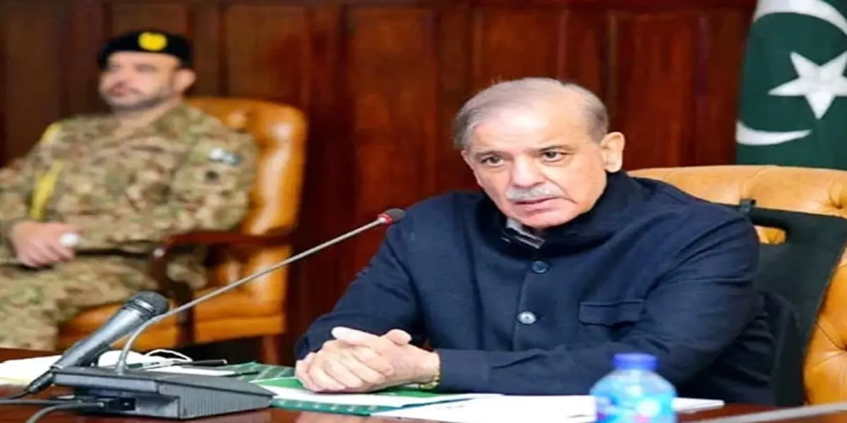 PM Shehbaz Orders Quick Rescue as Punjab Faces Floods