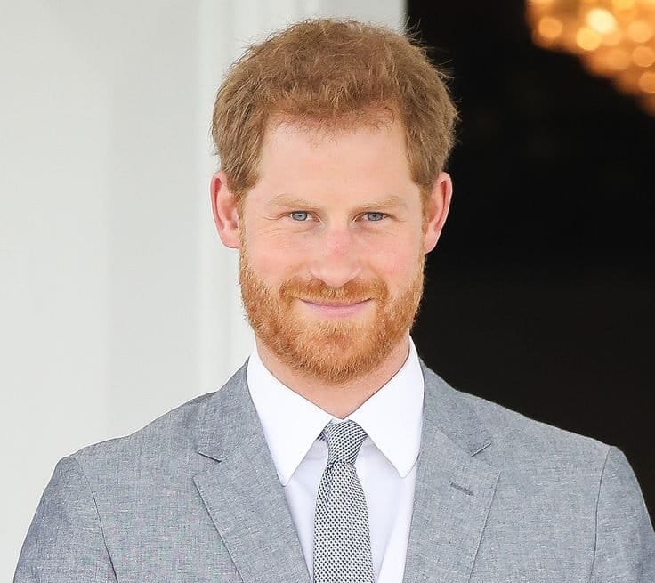 Prince Harry's Quest for Reconciliation with King Charles