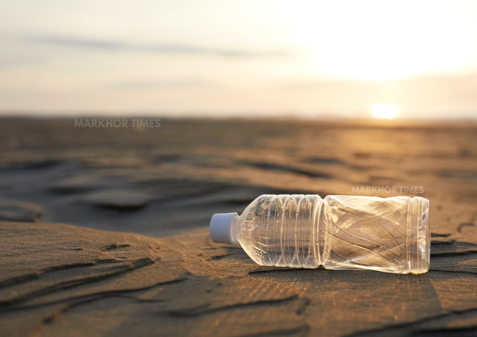 Scientists Create “Living Plastic” That Can Destroy Itself Naturally