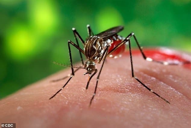 Symptoms of Dengue