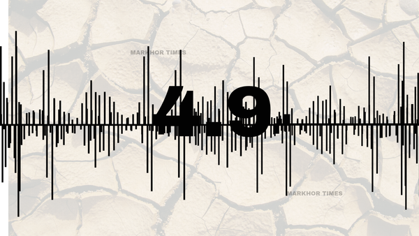 4.9 Magnitude Earthquake Shakes Lahore, No Damage Reported