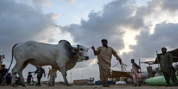 Govt Announces Four-Day Eidul Azha Holiday in Pakistan