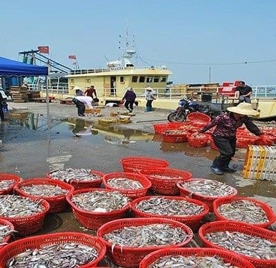 Pakistani Seafood: US Extends Sustainable Exports