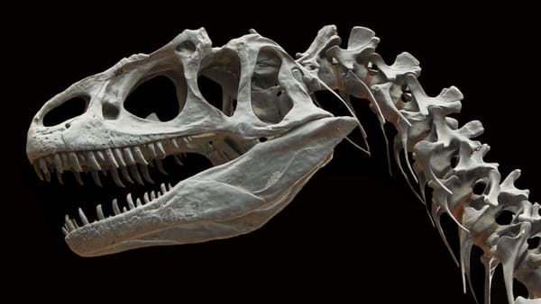 Giant Dinosaur footprints found in UK