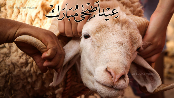 Eid ul Adha Holidays 2026: Government Declares Three Public Holidays