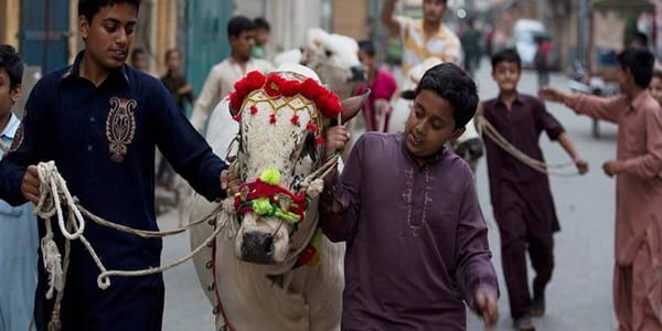Eidul Azha Observed Nationwide to Honor the Legacy of Prophet Ibrahim (AS)