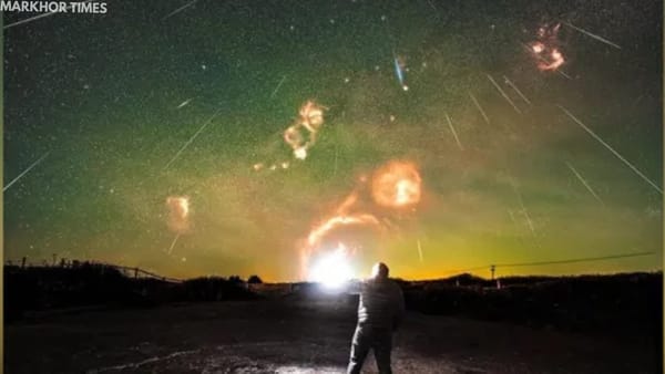 Geminids Light Up the Night