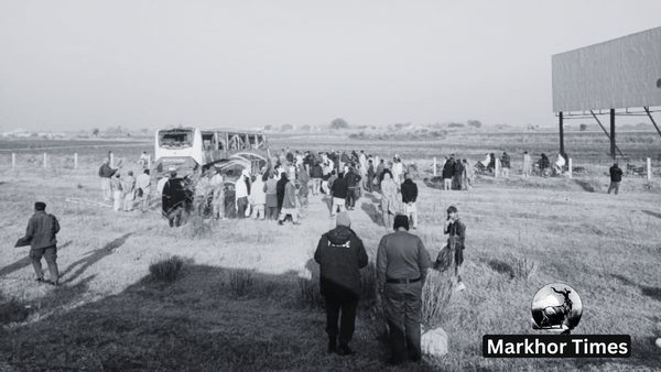 motorway-accidents-claim-18-lives-and-leave-35-injured-in-various-accidents-in-punjab-and-sindh
