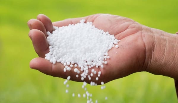 Lower Rainfall, Seasonal Demand Drive Fertilizer Market Rebound