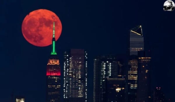 Flower Moon to Shine Bright