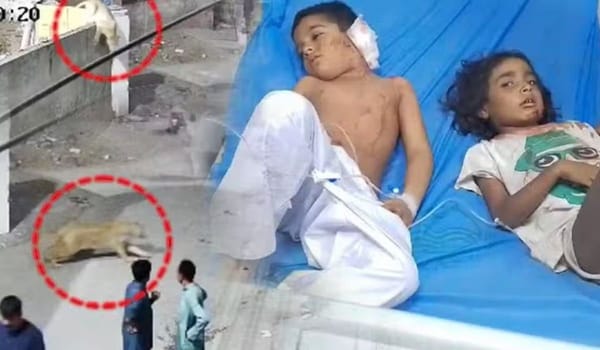 Two Children Critical After Lion Escapes in Lahore