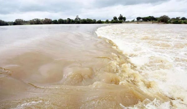 Chenab River Swells to Medium Flood Level at Marala
