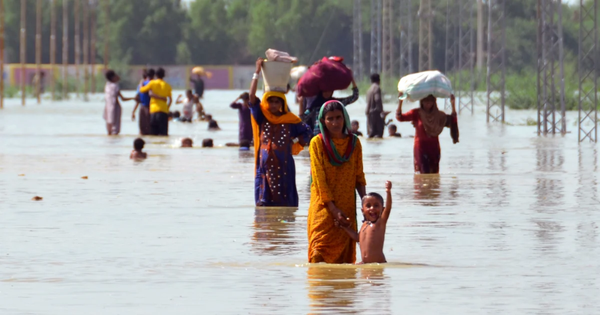Punjab PDMA Issues Alert as Sutlej River Rises