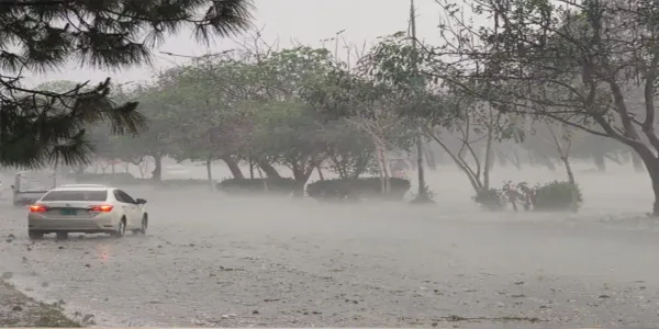 Heavy rain, duststorms expected in Country from June 20