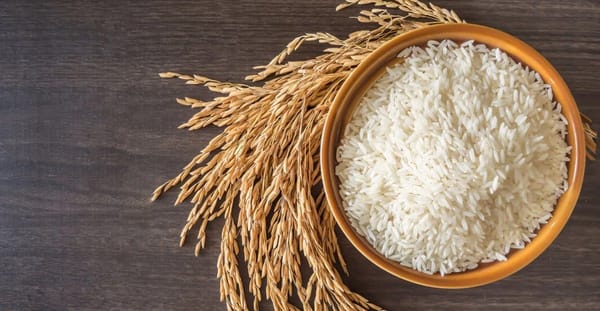 REAP and TDAP Mark USD 4 Billion Milestone with Sustainable Celebration