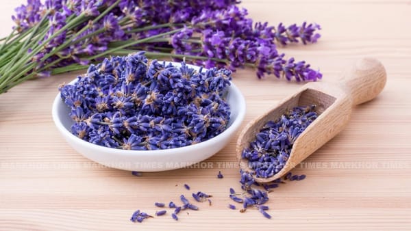 Top Health Benefits of Herbs for a Healthier Life