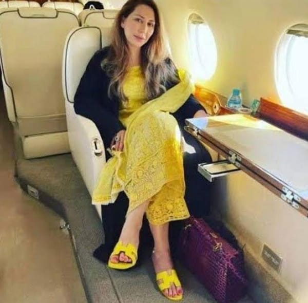 “Farah Gujjar, while using a Punjab government plane, had a bag that was worth $90,000,” claims PML-N's Miftah Ismail.