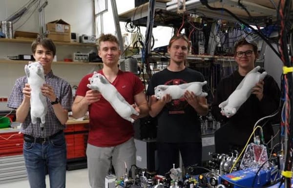 Students in the laboratory presenting rotation of Schrödinger cat states