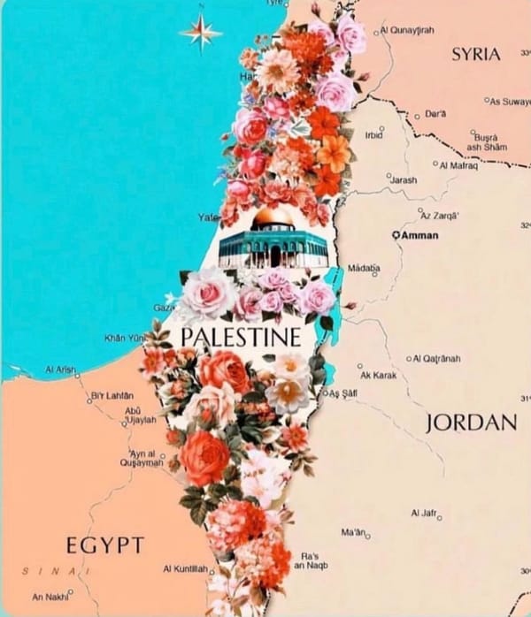 South Africa Urges UN Protection for Gaza Civilians