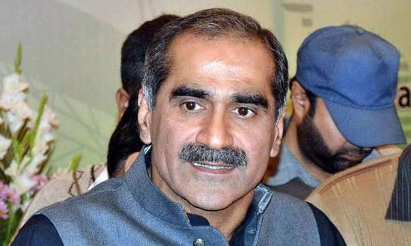 PML-N's Sindh Focus: Shaping Electoral Alliances