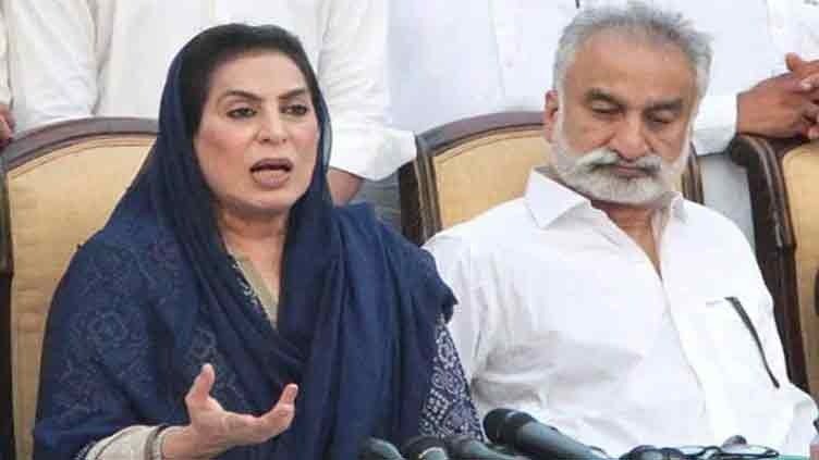 Zulfiqar Mirza, Fehmida Mirza