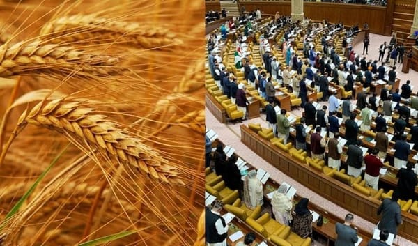 Wheat Scandal