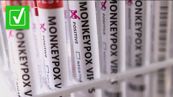 Monkeypox vaccine