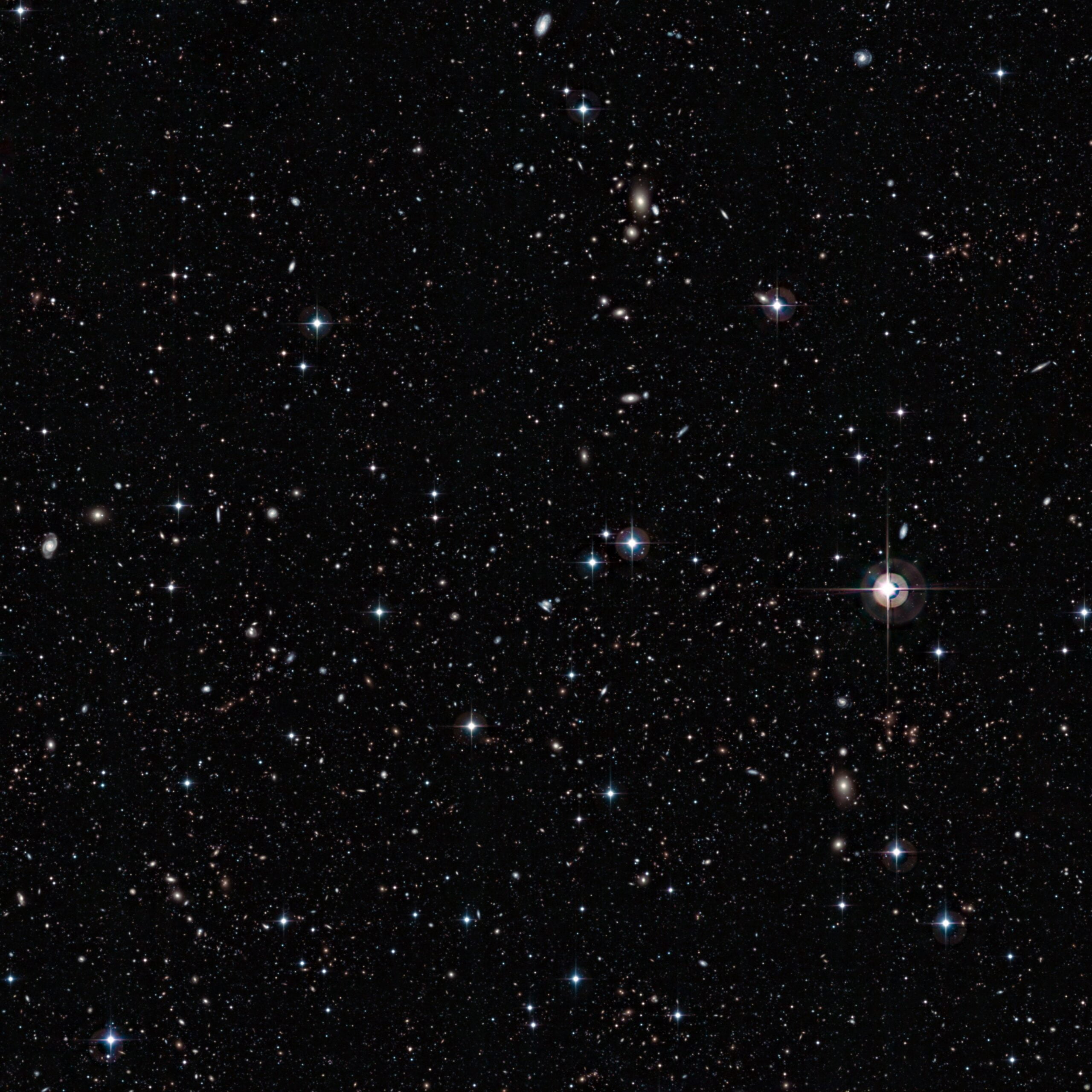 Stars can be seen in this image