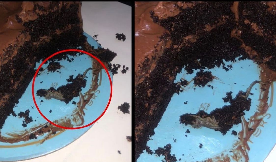 Layers Bakeshop threatens legal action after claim of lizard being found in cake in Faisalabad