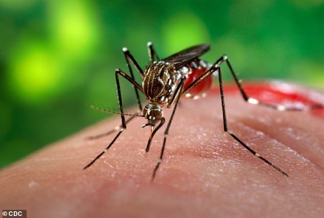 Symptoms of Dengue
